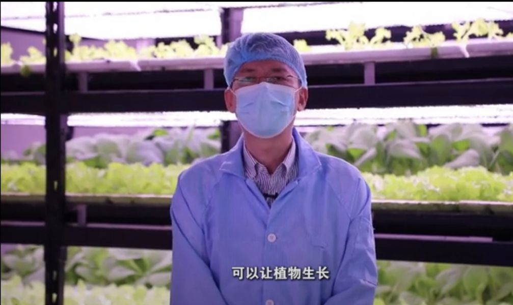 《成功新華流-02/15節目回顧》從寶島到天山：臺灣人在新疆的植物工廠/ 長城新景： 北京平穀區將軍關長城/機器人出海： 超30家中國機器人企業集體亮相2026年CES/冰雪季開跑： 北京什刹海與紫竹